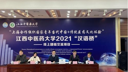 文化交融，故事傳揚 國際教育學院以品牌活動為橋，助推全球文化認同